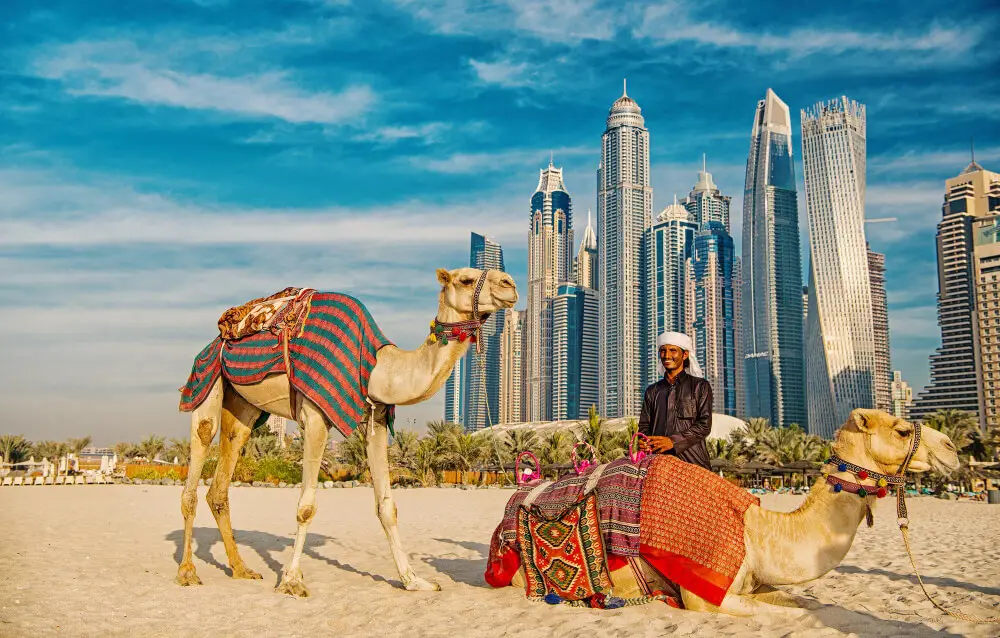CAMEL UAE CAMEL UAE
